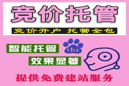 百度运营推广策略解析，看这些成功案例